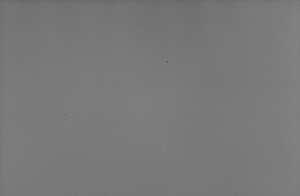 Scan d’un négatif Kodak T-MAX 100 exposé uniformément, documenté par Wiley.andrew.r. Échantillon de texture, pas une mesure microscopique ni un comparatif calibré.